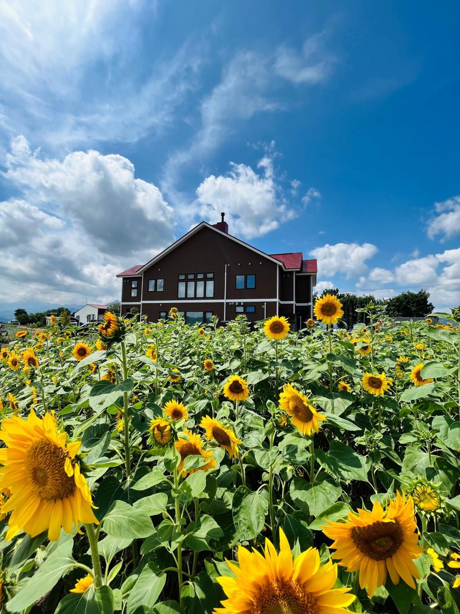 Shooting Star The Bed & Breakfast NakaNakafurano Екстериор снимка